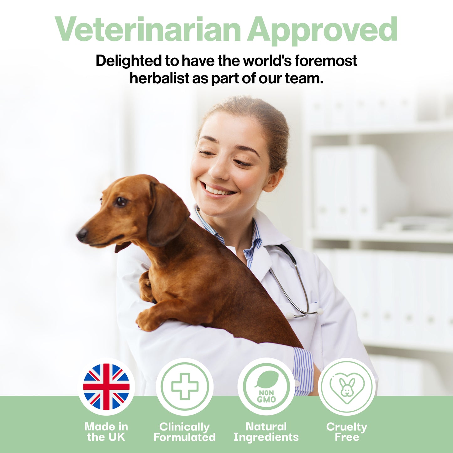 Cough Remedy Probiotic For Pets
