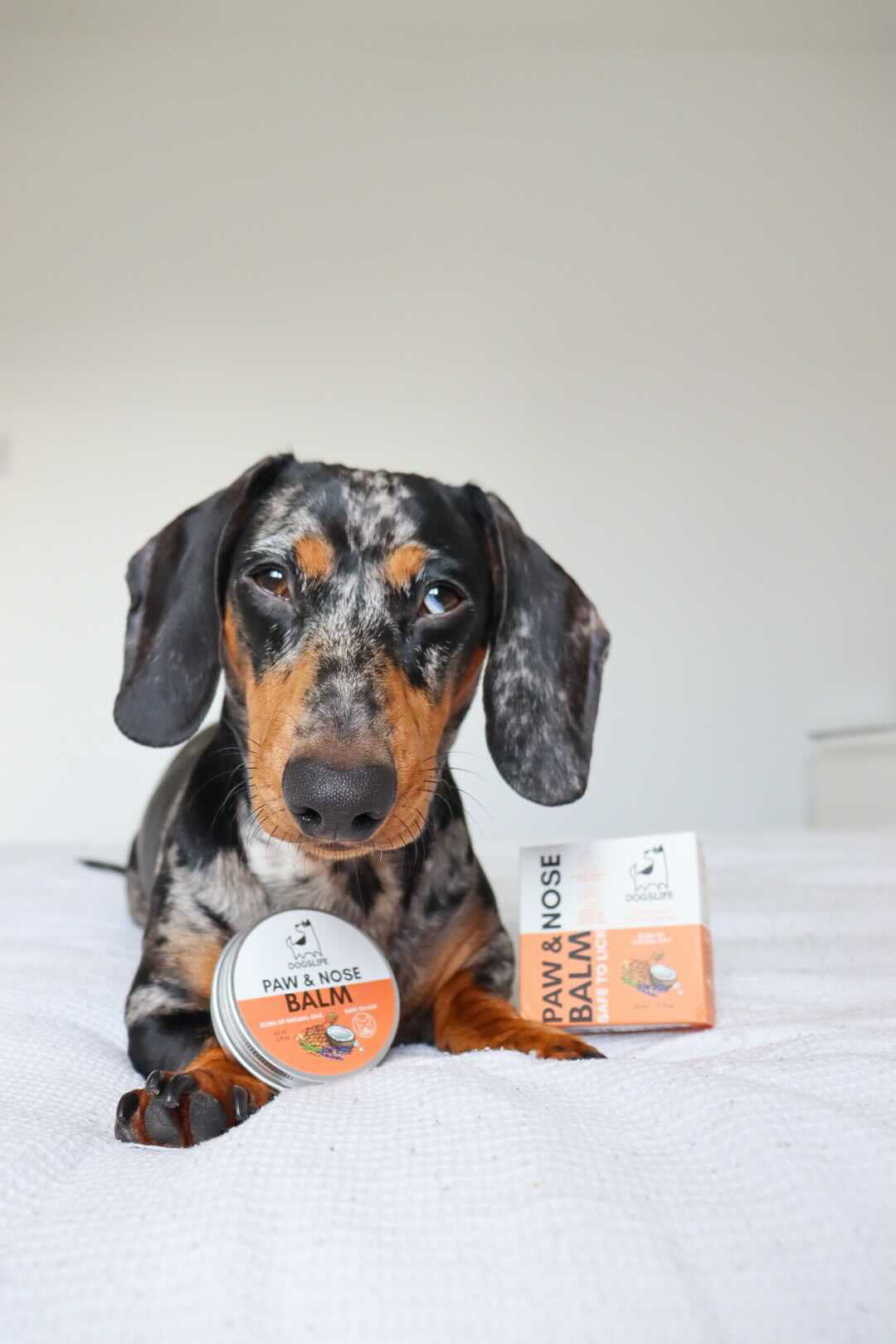 Paw and Nose Balm