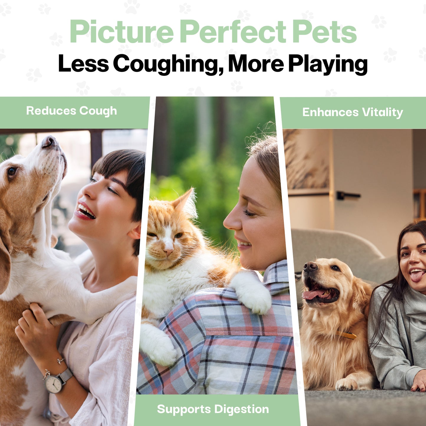 Cough Remedy Probiotic For Pets