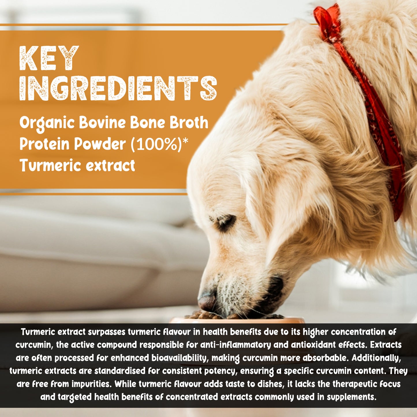 Bone Broth For Pets Turmeric Flavour