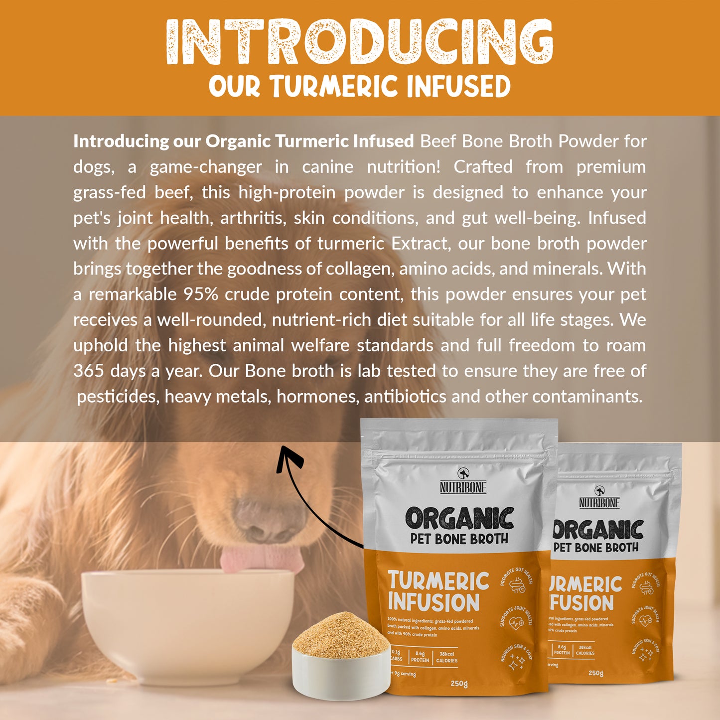 Bone Broth For Pets Turmeric Flavour