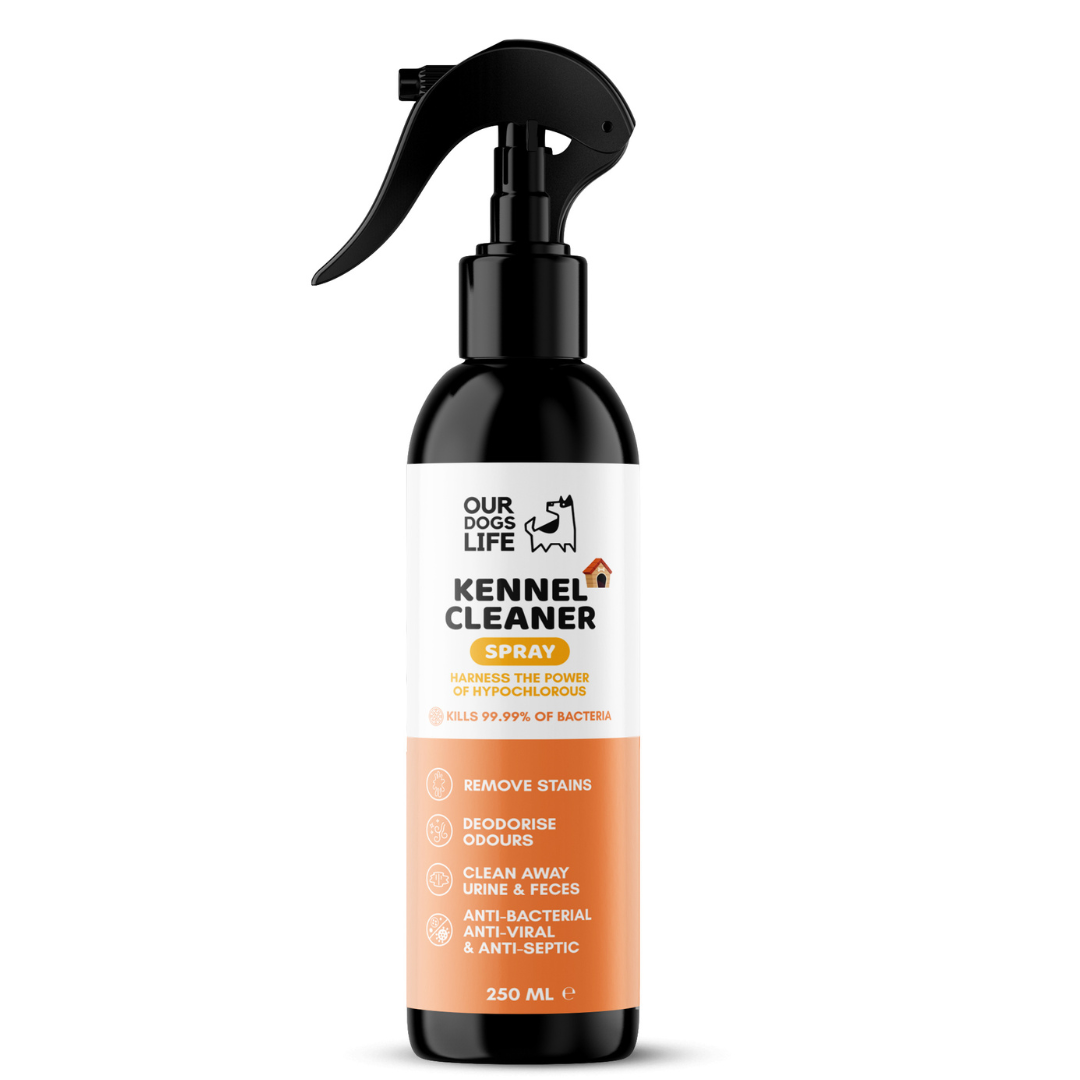 Kennel Cleaner Disinfectant for Dogs