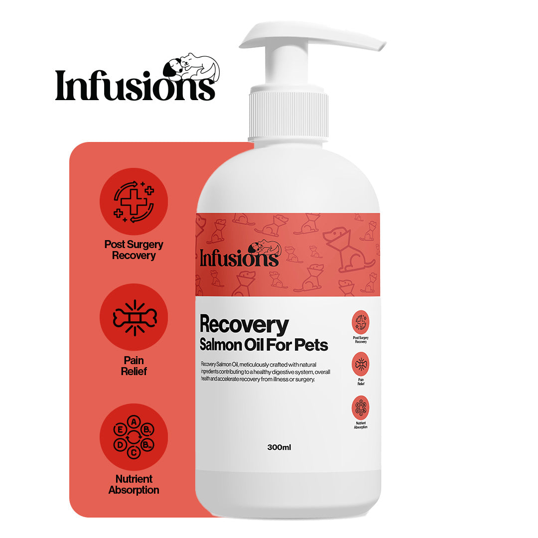 Recovery Salmon Oil For Pets