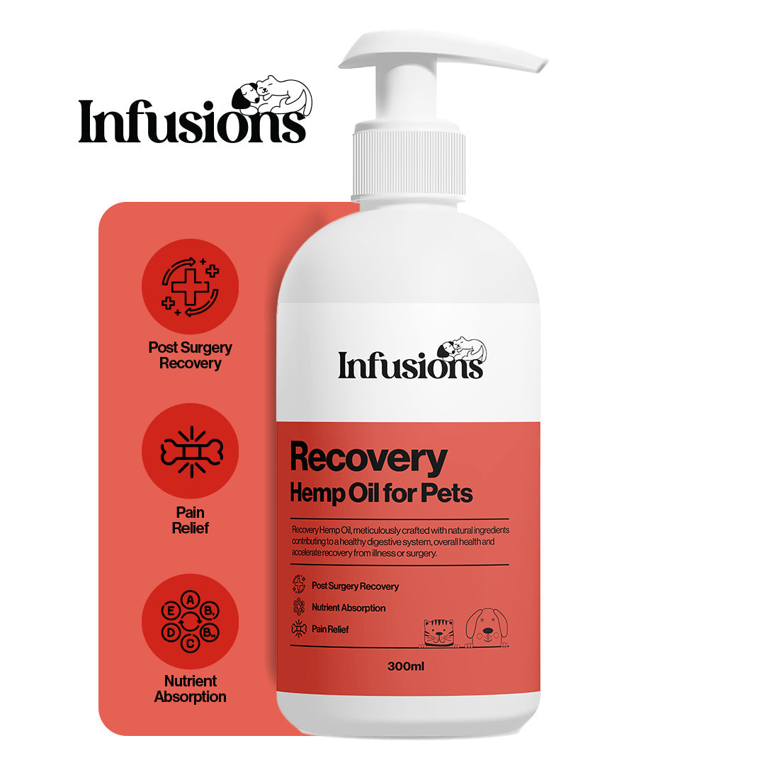 Recovery Hemp Oil For Pets