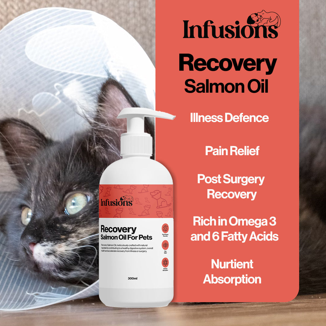 Recovery Salmon Oil For Pets