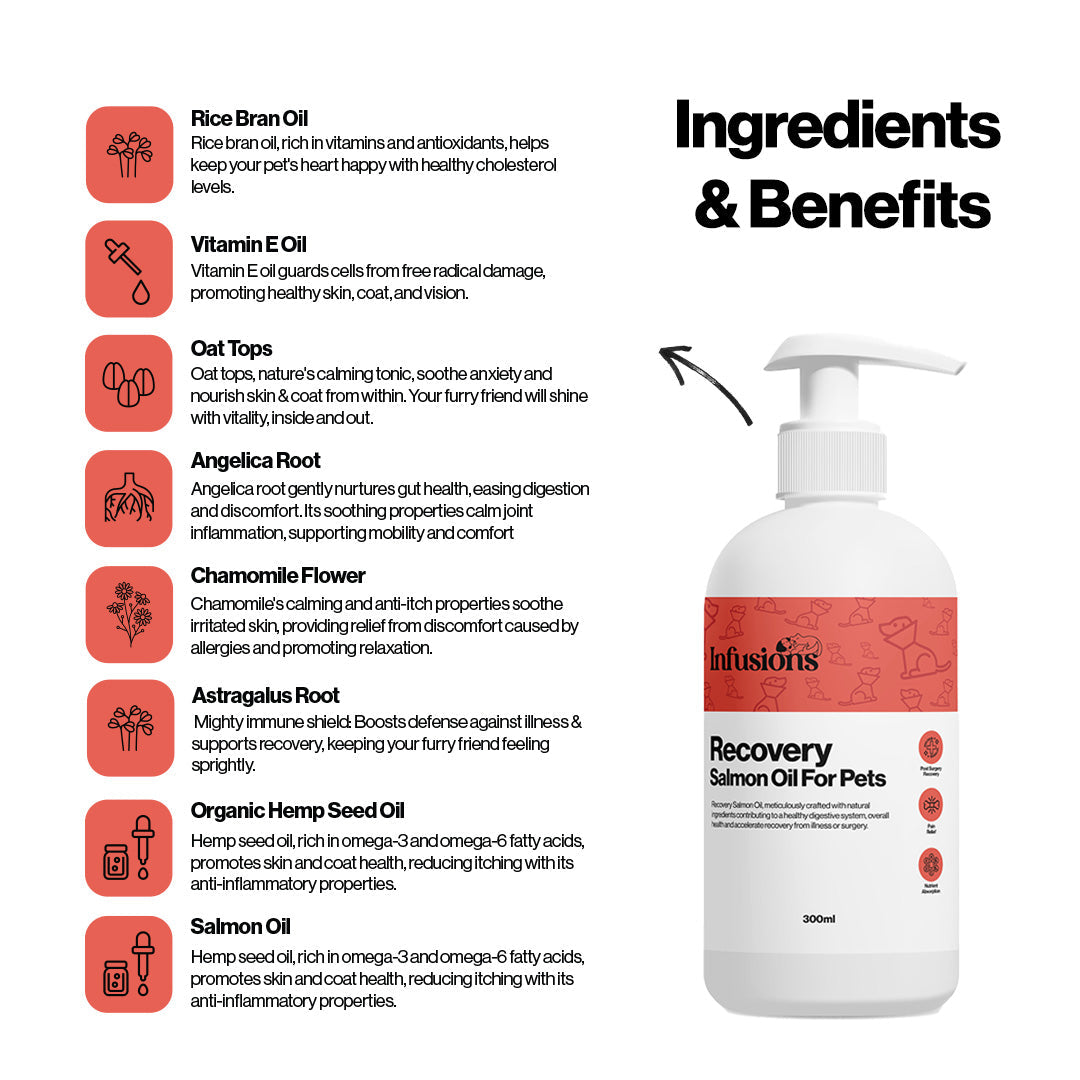Recovery Salmon Oil For Pets