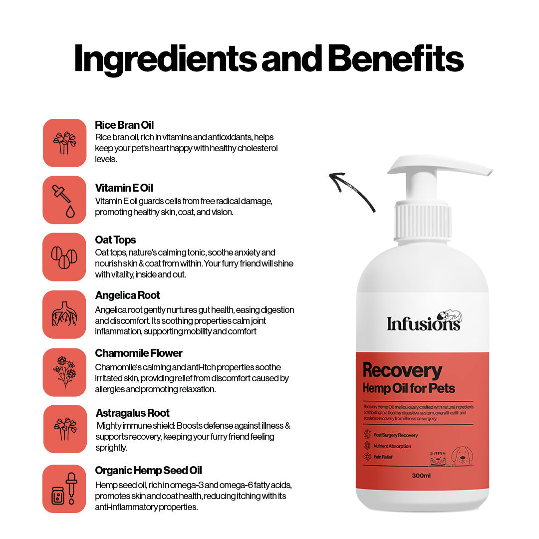 Recovery Hemp Oil For Pets