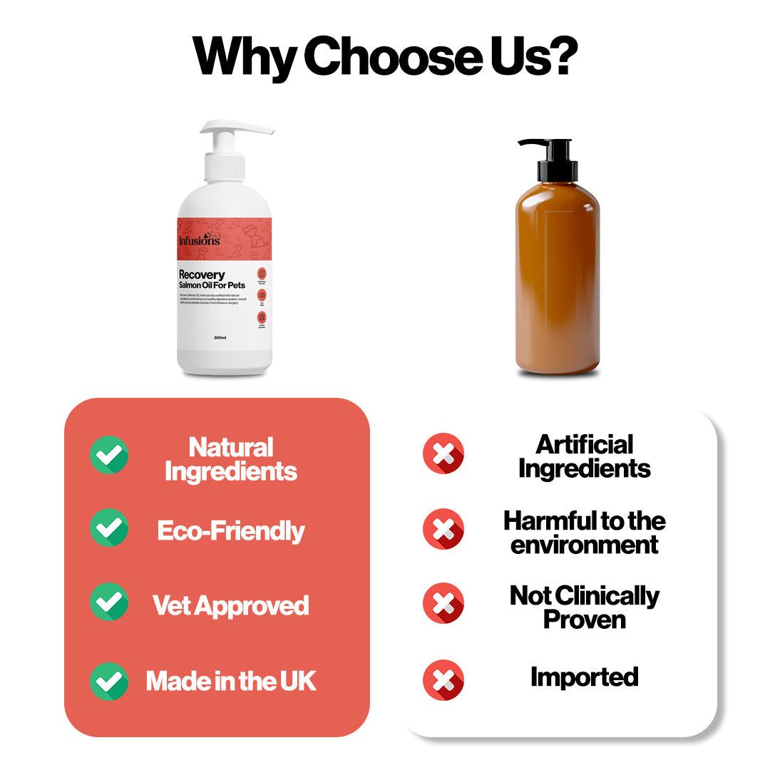 Recovery Salmon Oil For Pets