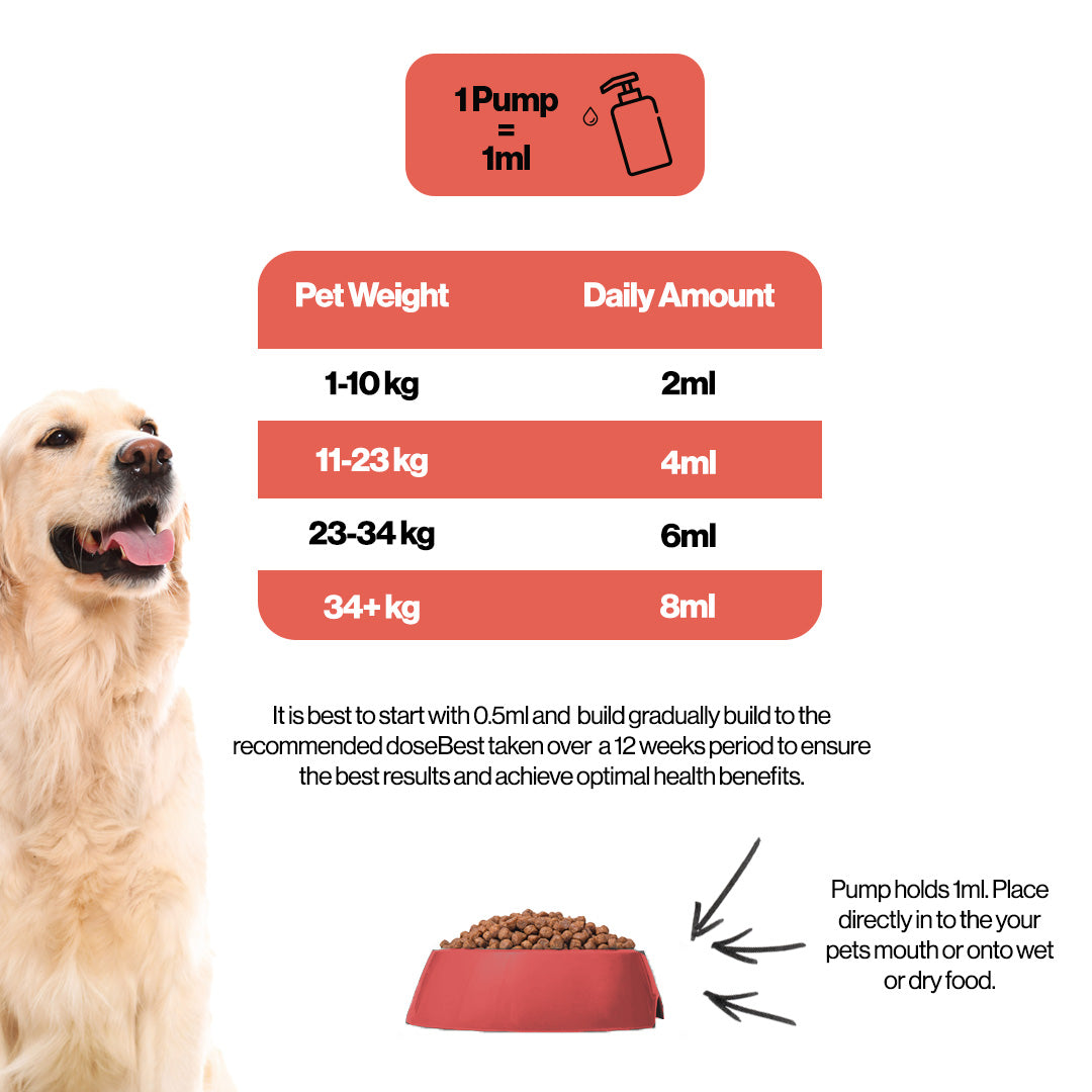 Recovery Salmon Oil For Pets