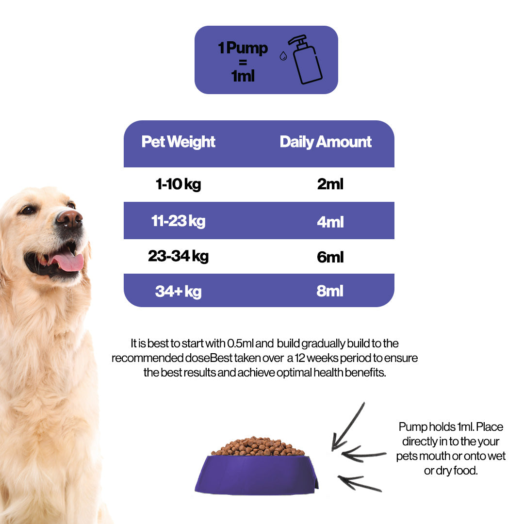 Seniors Hemp Oil For Pets