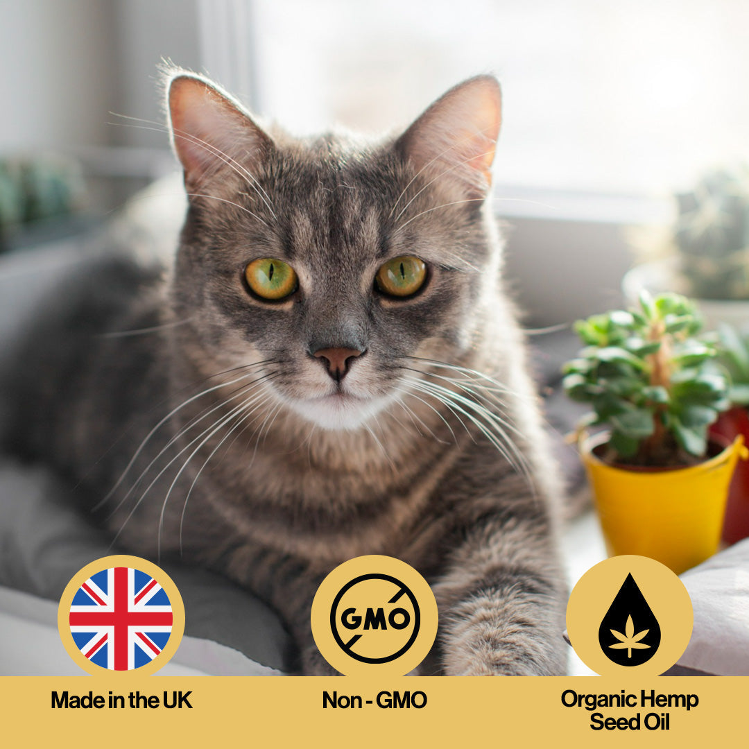 Skin & Coat Hemp Oil For Pets