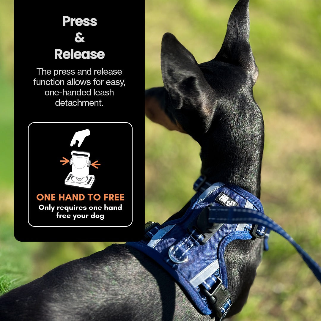 Easy Lock Harness Set