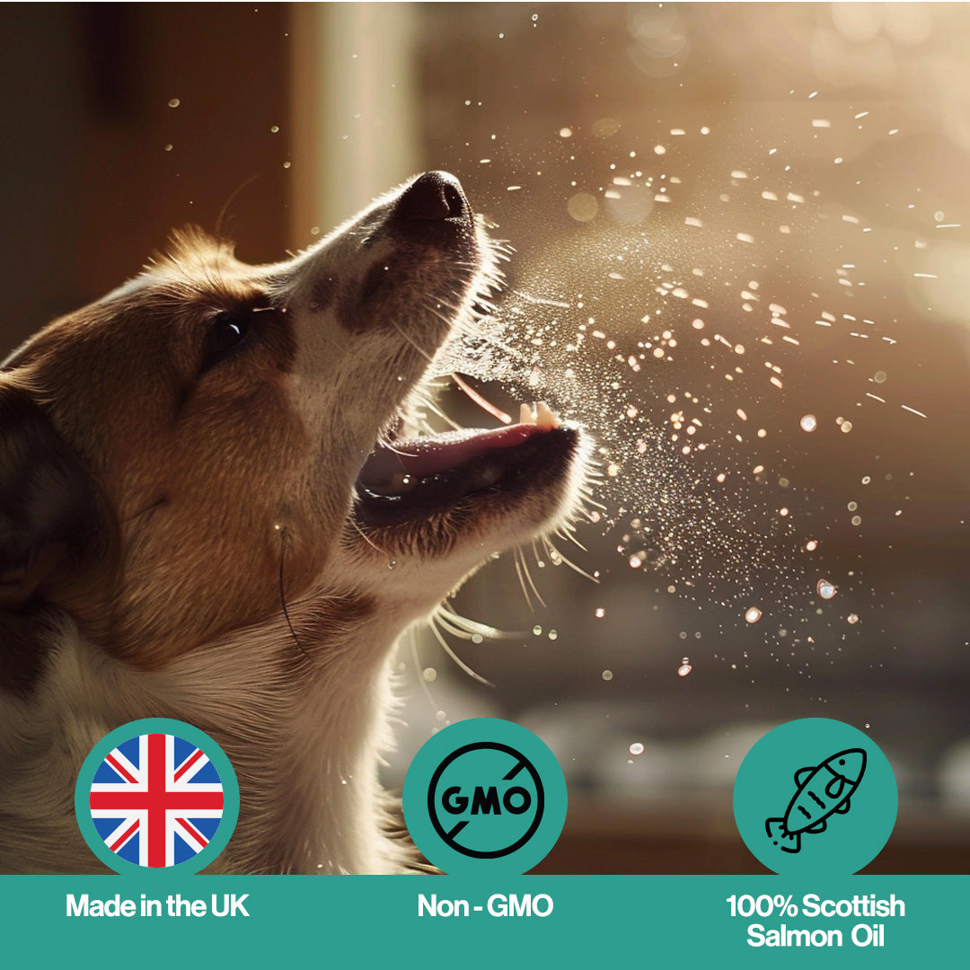 Cough Salmon Oil For Pets
