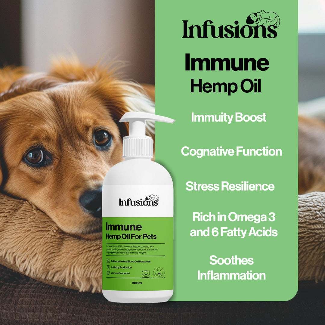 Immune Hemp Oil For Pets