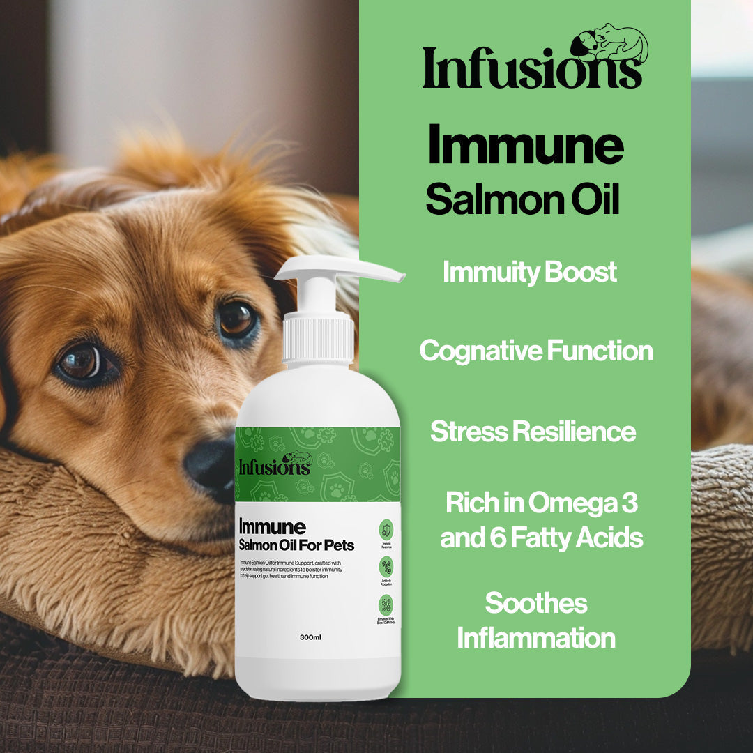 Immune Salmon Oil For Pets