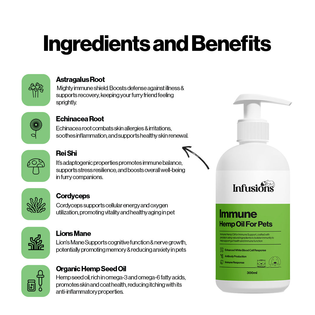 Immune Hemp Oil For Pets