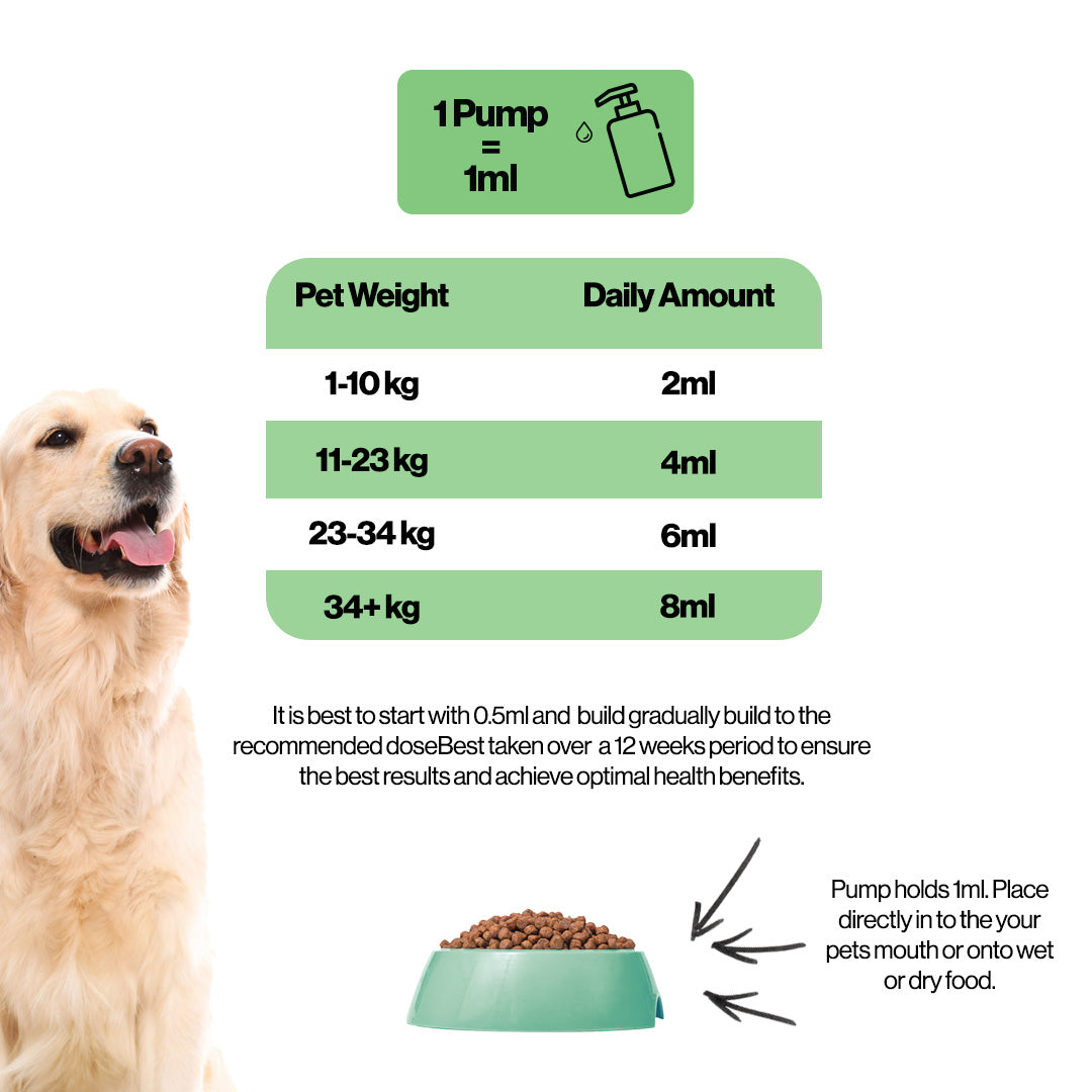 Immune Hemp Oil For Pets
