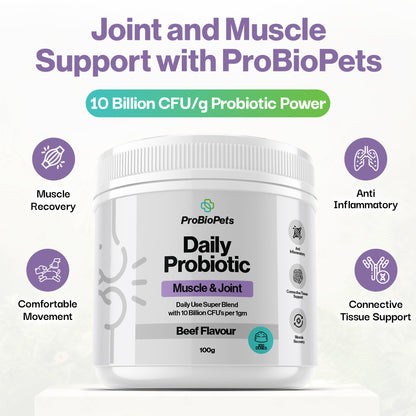 Muscle & Joint Probiotic For Pets