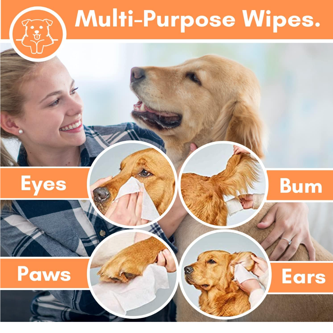 Unscented Dog Grooming Wipes