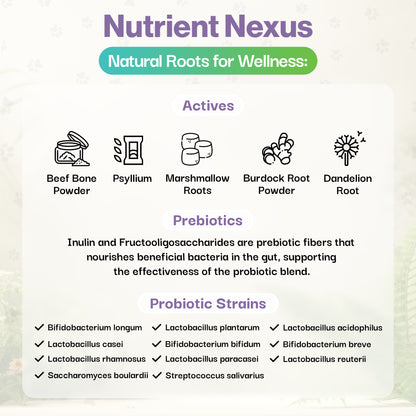 Muscle & Joint Probiotic For Pets