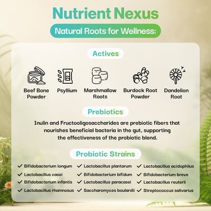 Brain Health Probiotic For Pets