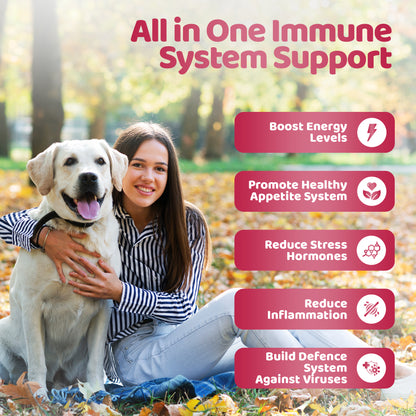 Immunity Shield Chews (140 Chews Per Tub)