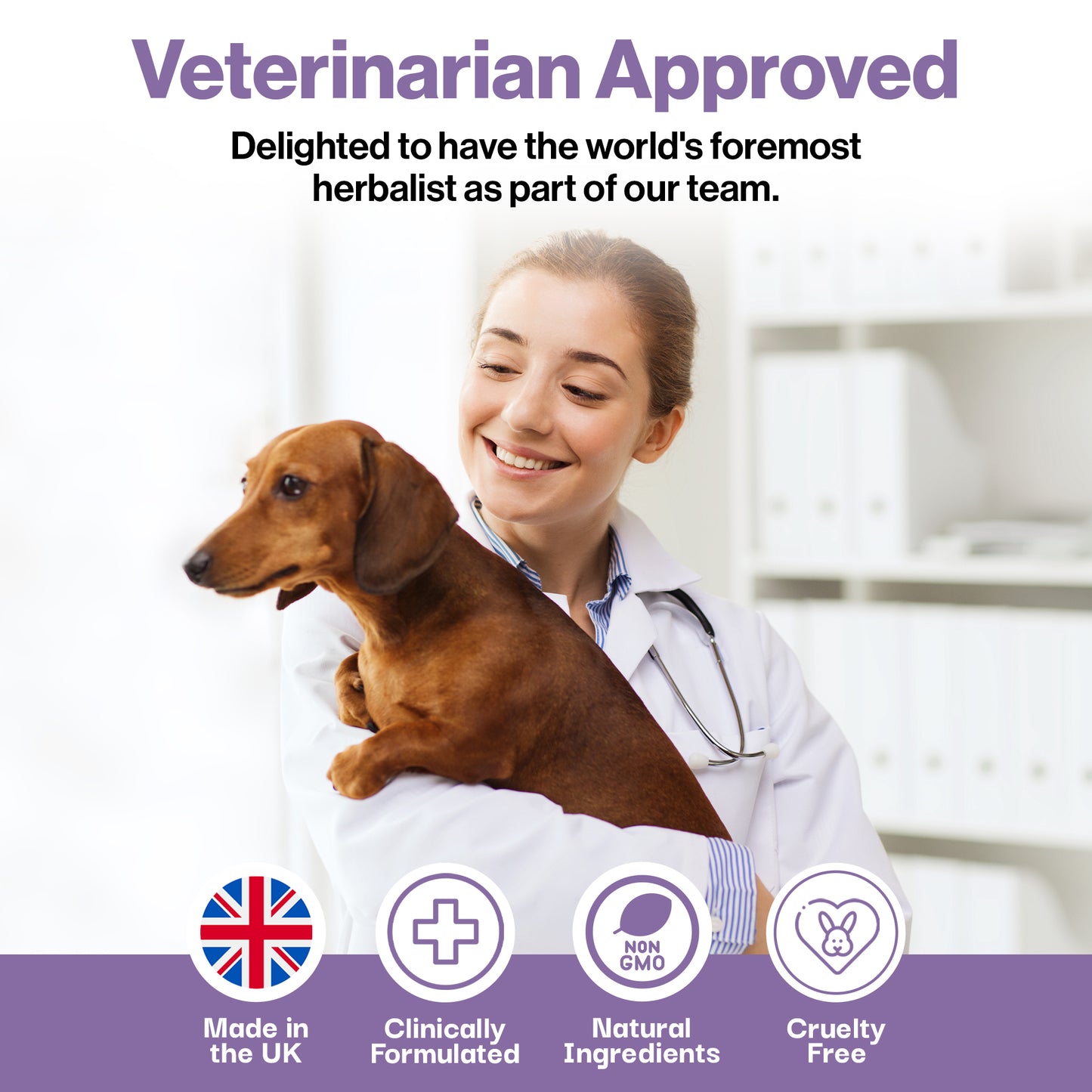 Muscle & Joint Probiotic For Pets