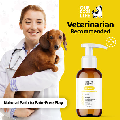 Joint & Hip Supplement Drops for Dogs