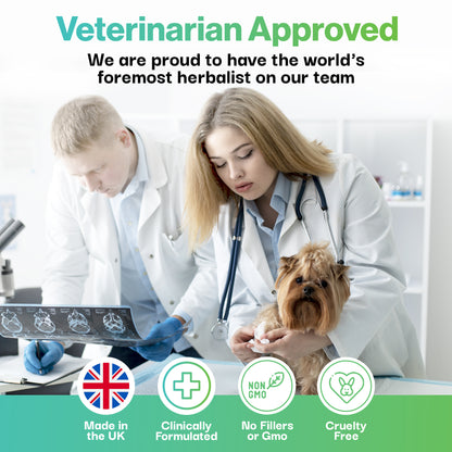 Brain Health Probiotic For Pets