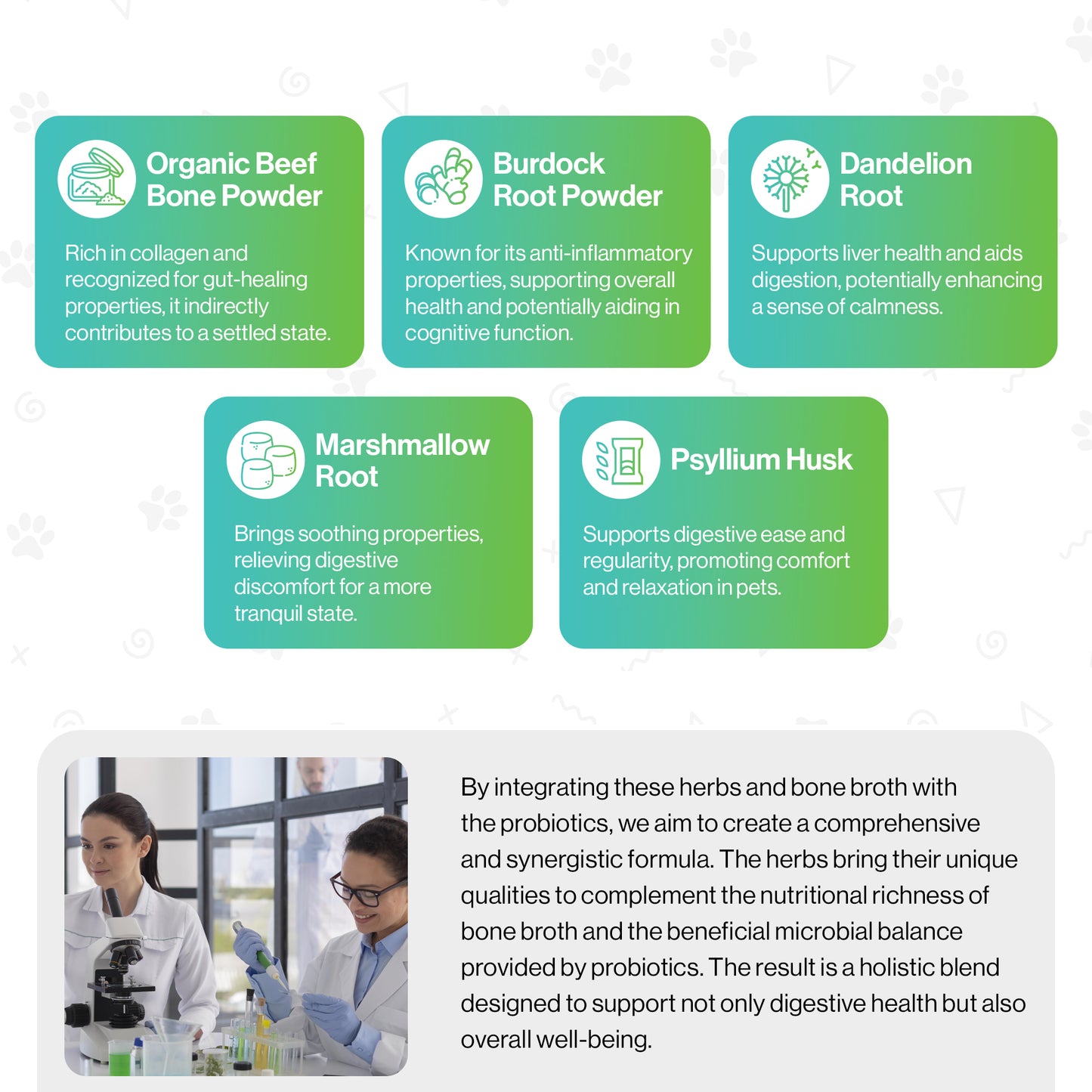 Brain Health Probiotic For Pets