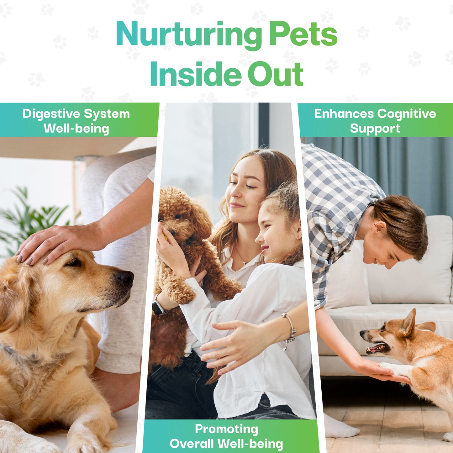 Brain Health Probiotic For Pets