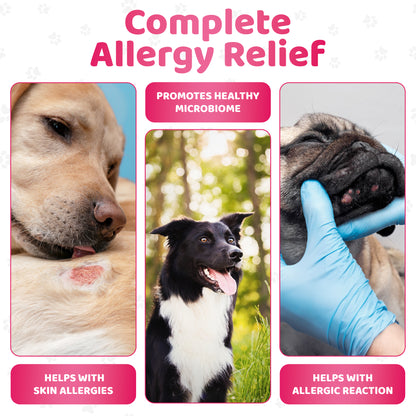 Itch Relief Dog Chews (140 Chews Per Tub)