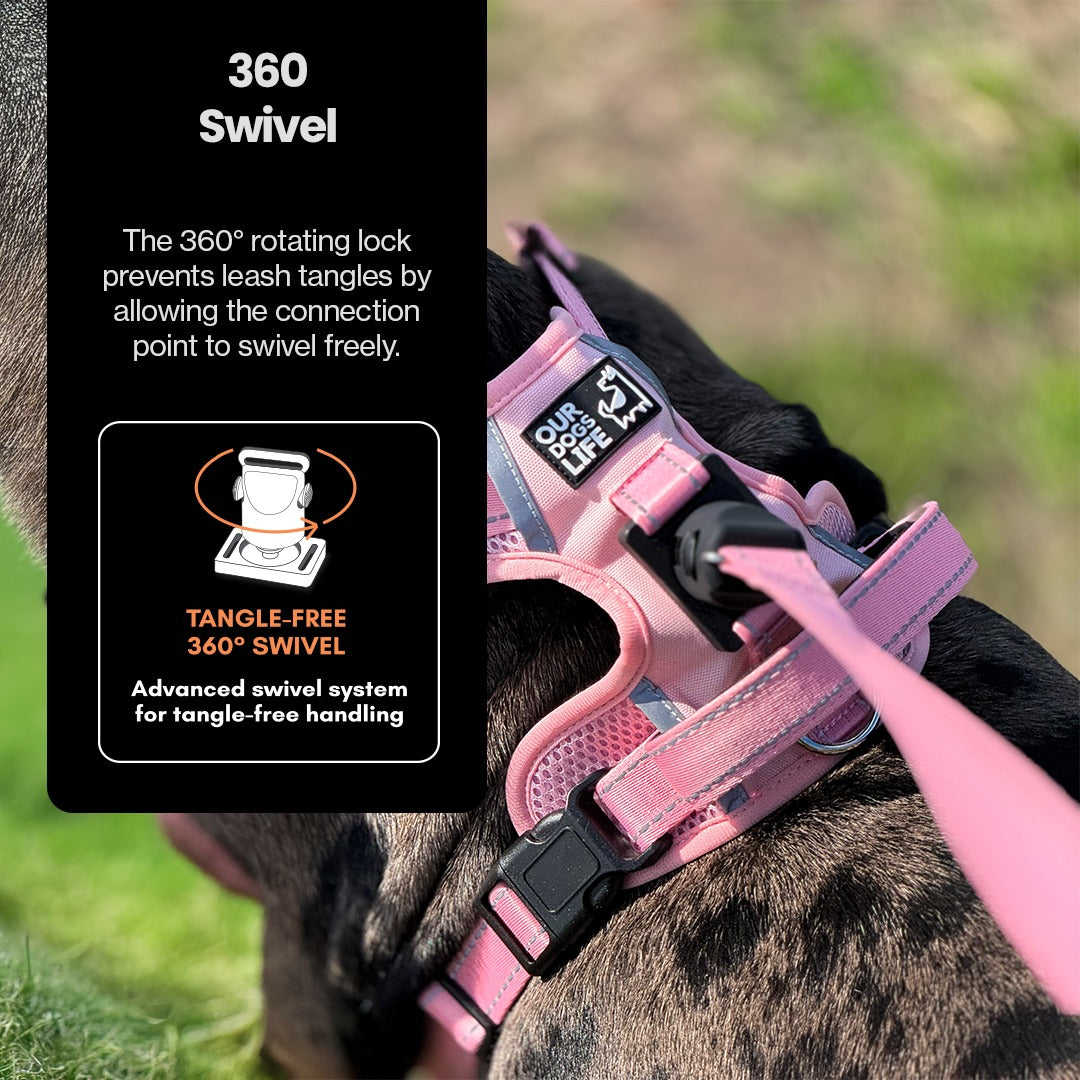 Easy Lock Harness Set