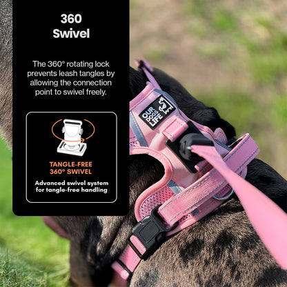 Easy Lock Harness Set