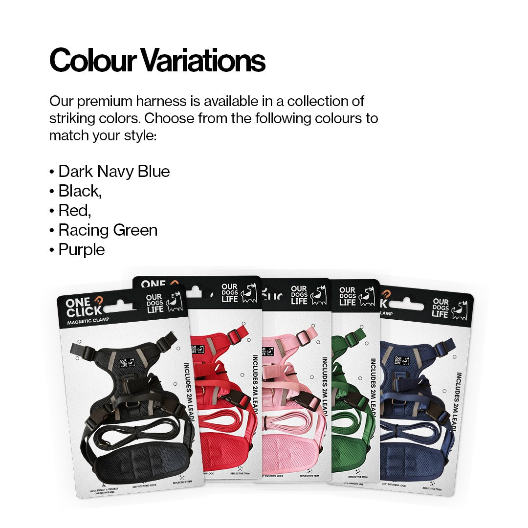 Easy Lock Harness Set