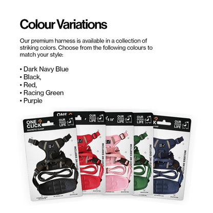 Easy Lock Harness Set