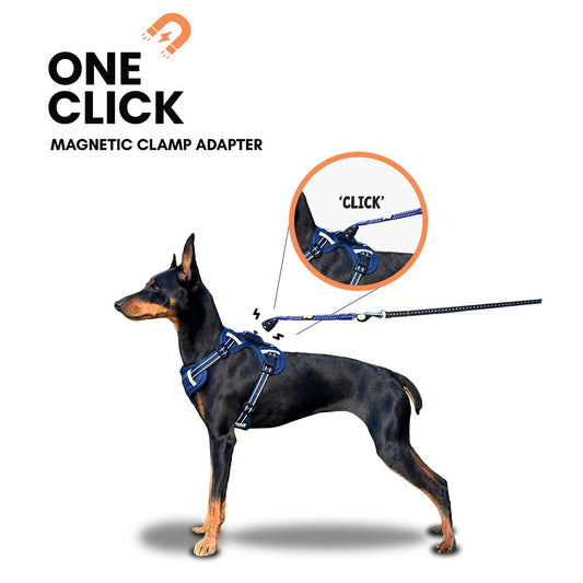 Easy Lock Harness Set