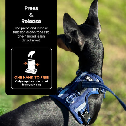 Easy Lock Harness Set